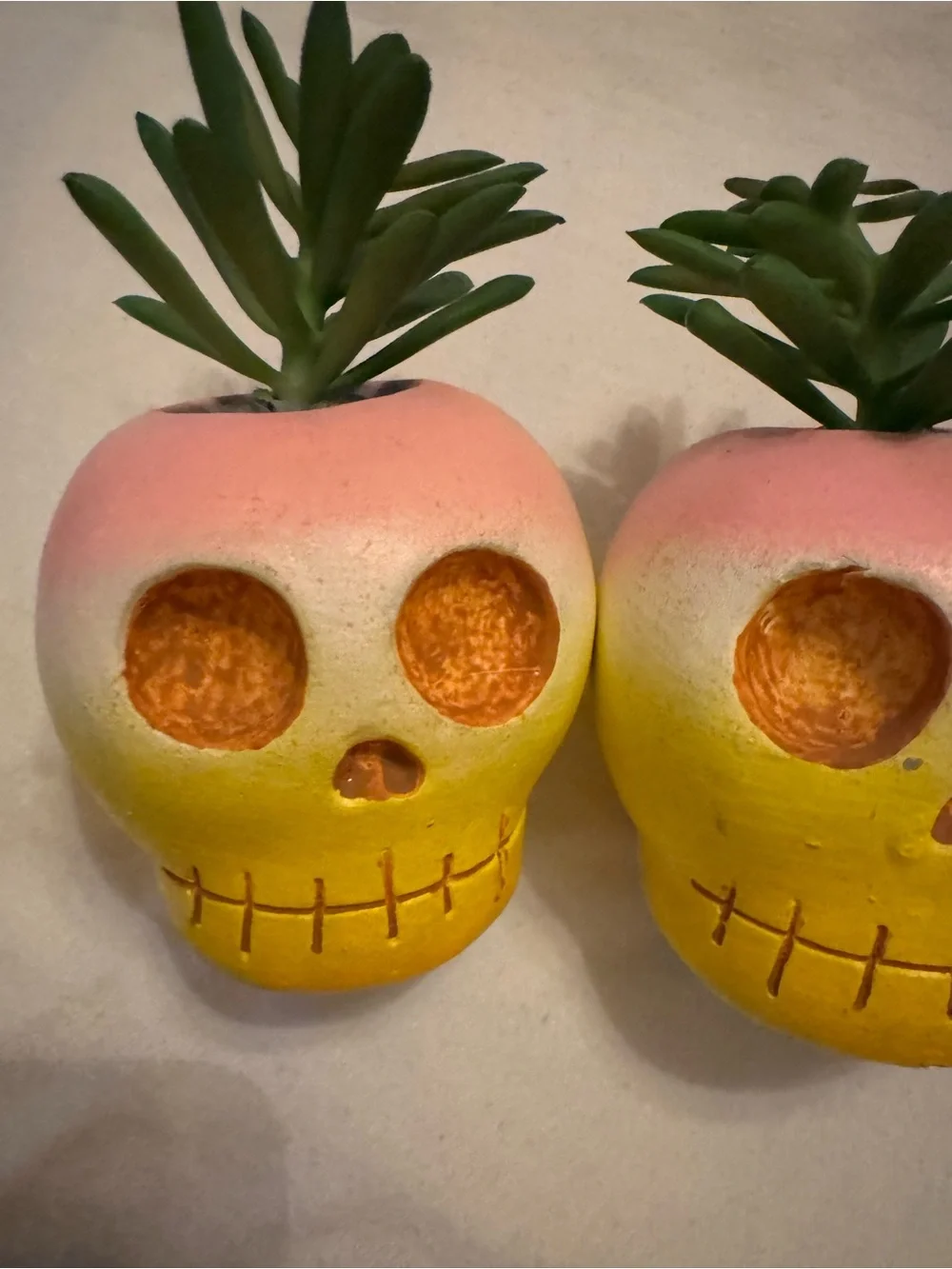 N/A charming skull